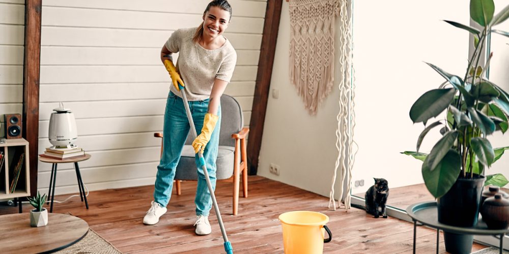 Fall Cleaning Checklist