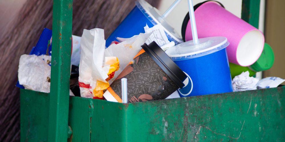 How Should Food Workers Deter Pests From Outdoor Dumpsters