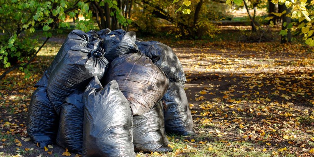 How To Dispose Of Yard Waste